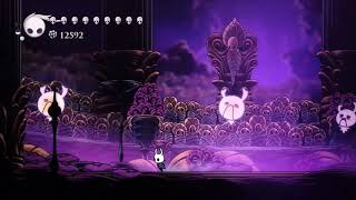 Hollow Knight - Radiant G A Y