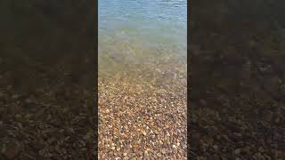 Schöner Kiesstrand Klares Wasser #rhein #shorts #short