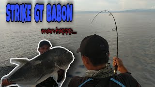 Strike GIANT TREVALLY// Tarikan terdasyat joran melengkung mantap