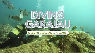 Diving experience in Garajau, Caniço, Madeira (GoPro)