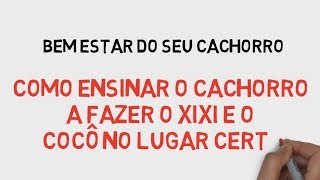 Como ENSINAR o cachorro a fazer o XIXI e o COCÔ NO LUGAR CERTO