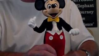 Mickey Mouse, LE, Disney Theme Park Character, Figure,  Unboxing, Very Rare