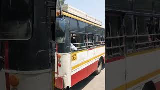 Moving Tubes 🙏 Tirumala Bus #shorts