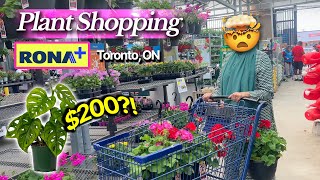 $200 PLANT?! PLANT SHOPPING For My House at RONA+ / Lowes / Home Depot - Mega Haul