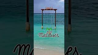 #travel #nature #vlog #naturephotography #maldives #beach #naturelovers #beautifulnature