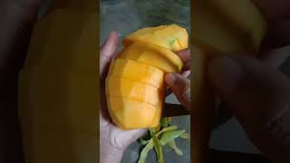 Mangga Golek Terenak #shorts