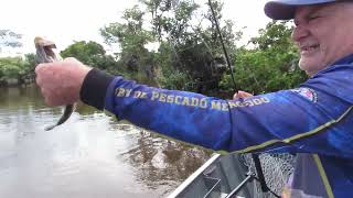 PAI CHEGOU PEGOU PEIXE E TROXE A CHUVA!