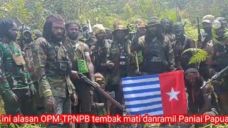 Pertanyaan OPM-TPNPB dari Paniai Papua