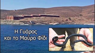 Η Γυάρος και το Μαύρο Φίδι - Gyaros and the black snake