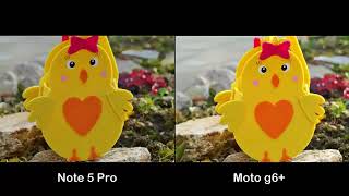 Redmi Note 5 Pro Vs Moto G6 Plus Camera Test Comparison