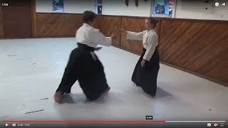 Why Aikido - Lisa