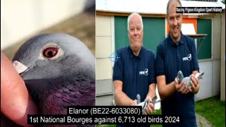 2024 Wim & Steven De Troy 1st National Bourges against 6,713 old birds (Berlaar, BE)