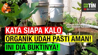 TERNYATA PUPUK ORGANIK CAIR DARI AIR LINDI ITU GAK AMAN JIKA LANGSUNG PAKAI, PERLU PERLAKUAN KHUSUS