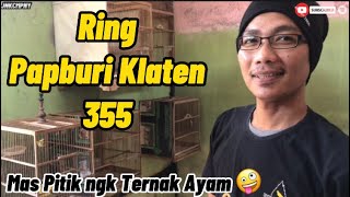 MAIN KE PETERNAK KENARI & MURAI BATU | Papburi Klaten 355 | Pitixs Kenari