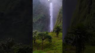 CURUG CITAMBUR #shorts #waterfall #nature #airterjun #curug