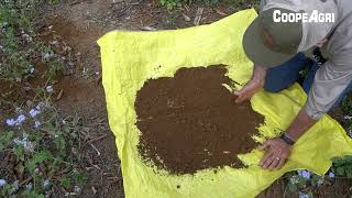 Muestreo de Suelos paso a paso para el cultivo de café