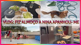 VLOG: ROTINA DIA A DIA, FIZ ALMOÇO, BRINQUEI COM A NINA I #veda29  I Bruna Rodrigues