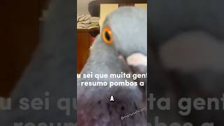 A menina do pombo