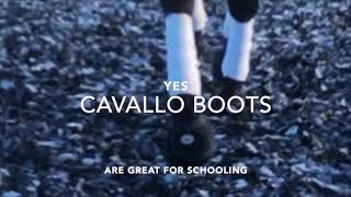 SUE GRICE, DRESSAGE TRAINER,  TALKS ABOUT CAVALLOS: