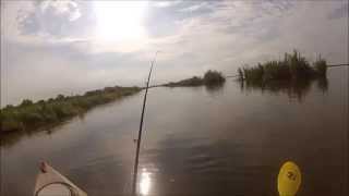 Alligator attacks my cork while I'm kayak fishing.