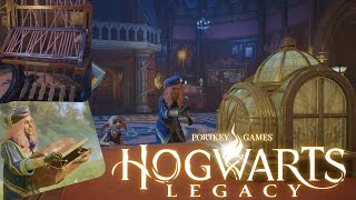 Hogwarts Legacy | Forest Vivarium & The Enchanted Loom