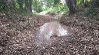 CONSEQUÊNCIAS DA FALTA DE CHUVA EM MINAS GERAIS