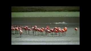 Laguna Hedionda, uno spettcaolo unico