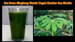 Jus Daun Singkong Untuk Cegah Kanker dan Stroke