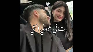 گونت صايع يابت بس انا توبت وگرفت اي بناات😉❤عوزگ عشان بحبگ🤍😍#اسلام_كابونجا#عبدو_الحضراوي #ملك_المجال