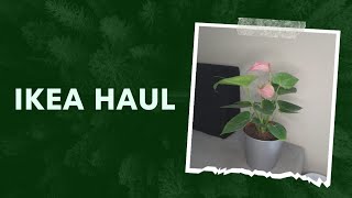 Ikea haul/Banglore  ikea/2023