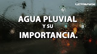 Agua pluvial y su importancia 🌧️