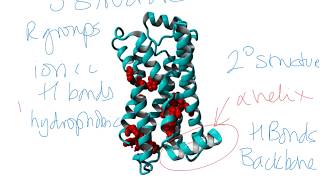 58071 Workshop 2 Intro to Protein Structure