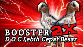 BOOSTER 2X D.O.C Lebih Cepat Besar Dan Sehat