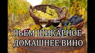 Выбираем лучшее вино сделанное в домашних условиях