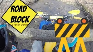 Tree Down!!! | Day 9