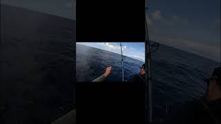 Albacore Fishing