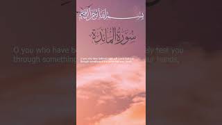 Surah Al-Ma'idah Mishary bin Rashid Alafasy I Ayah 94