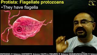 Chapter : 02 Biological Classification Part 03