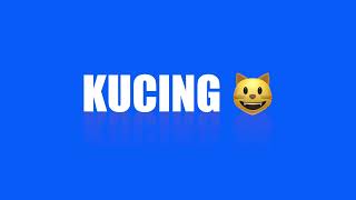 Top 5 Kucing 😺