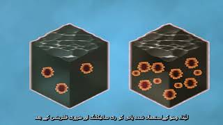 Animation | Ablution Water Reuse System | WWF