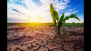 Optimizar el consumo de agua