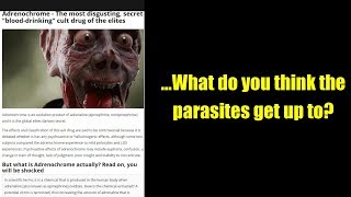 ...What do you think the parasites get up to?