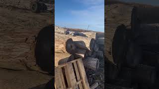 Rc car drives of logs #shorts #traxxas #rccar