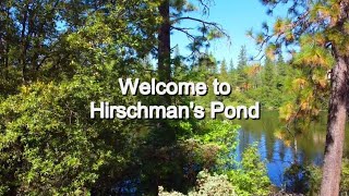 Welcome to Hirschman's Pond