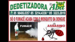 DEDETIZAÇÃO CONTRA DENGUE NA BARRA DO CEARA (85) 3223.2819