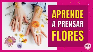 🌷APRENDE a PRENSAR FLORES y convertilas en algo bello 🌷 // #floresprensadas #flores #manualidades