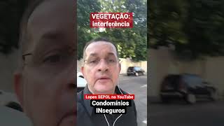 Condomínios INseguros: VEGETAÇÃO (interferência)