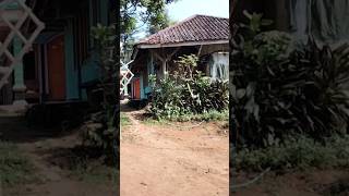 Seperti Inilah Suasana Kampung Adem Ayem #shortvideo #pedesaanjawabarat #suasanapedesaan