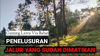 Gunung Lawu Via Babar || PENELUSURAN JALUR YANG SUDAH DIMATIKAN @lonewolfindonesia