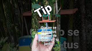 Como conservar muebles o adornos de madera en el jardín #short #diseñodejardines #jardinería